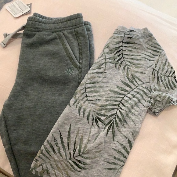 Set of 2 Splendid Baby Palm Leaf Tee + Joggers Soft Green Gray Unisex Set NWT - Picture 5 of 7